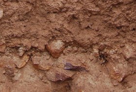 Vulkanstein Rigosol, © Landesamt für Geologie und Bergbau Rheinland-Pfalz Vulkanstein Rigosol, © Landesamt für Geologie und Bergbau Rheinland-Pfalz