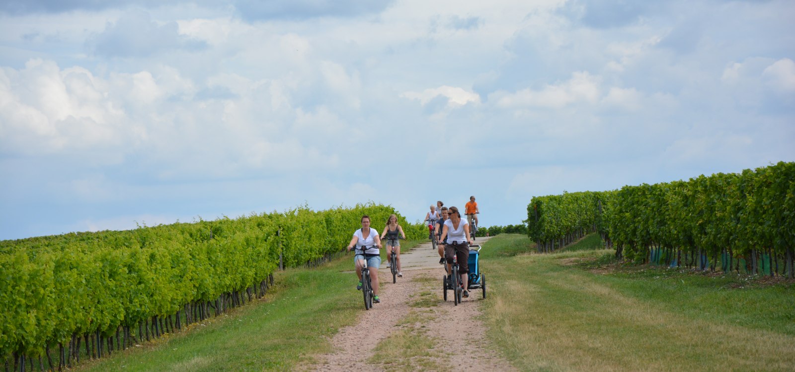 Wißberg-Tour, © Angelika Friedrich Wißberg-Tour, © Angelika Friedrich
