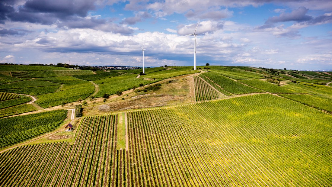 Hahnheimer Knopf Hahnheimer Knopf