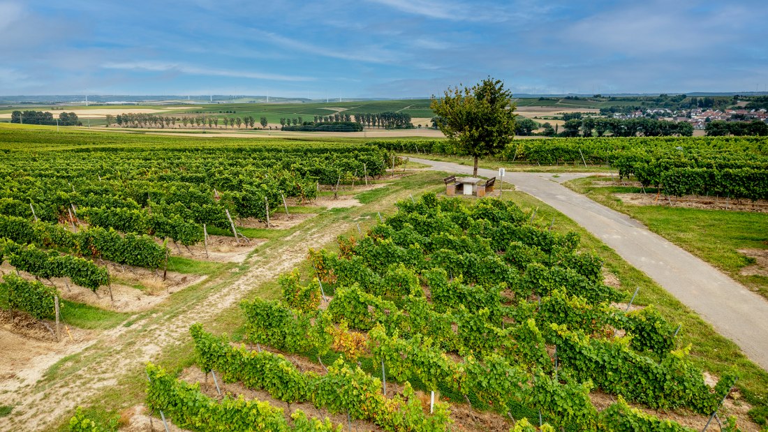 Volxheimer Liebfrau Volxheimer Liebfrau
