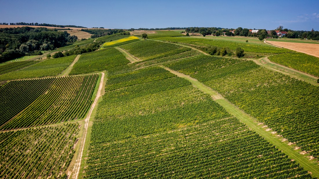 Gau-Algesheimer St. Laurenzi-Kapelle Gau-Algesheimer St. Laurenzi-Kapelle