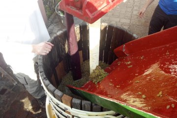 Weingut Tobias Hahn_Presse, © Weingut Tobias Hahn Weingut Tobias Hahn_Presse, © Weingut Tobias Hahn