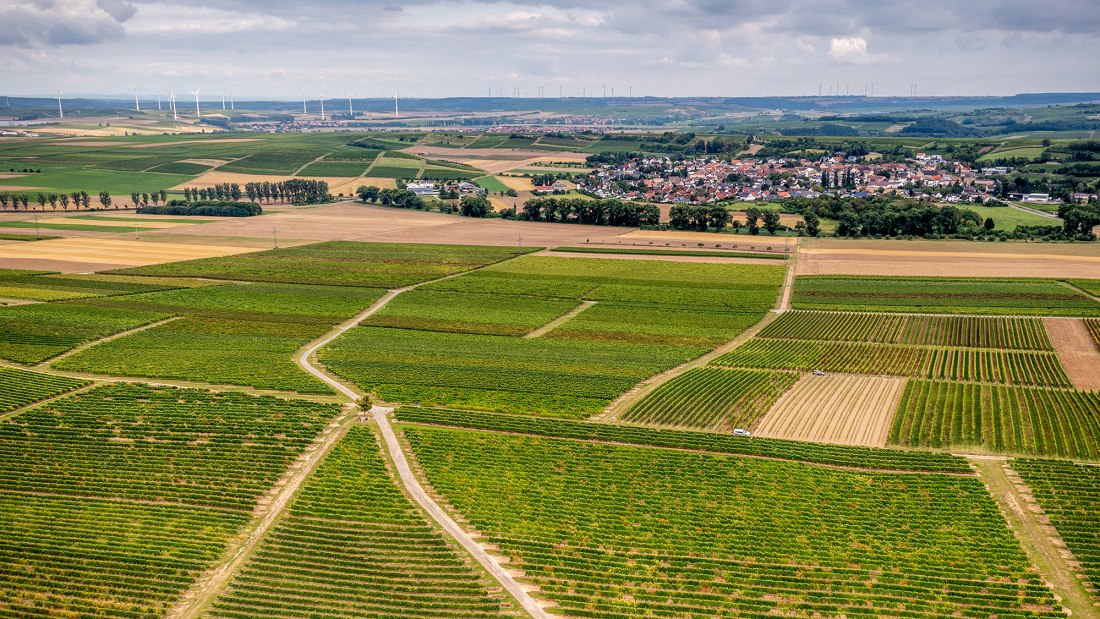 Volxheimer Liebfrau Volxheimer Liebfrau