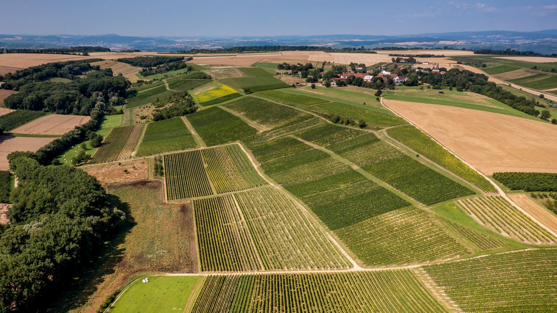 Gau-Algesheimer St. Laurenzi-Kapelle Gau-Algesheimer St. Laurenzi-Kapelle