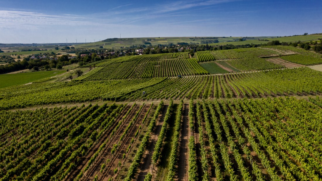 Bubenheimer Honigberg Bubenheimer Honigberg