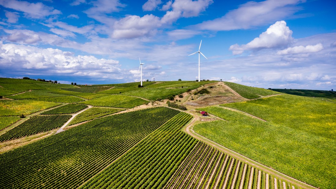 Hahnheimer Knopf Hahnheimer Knopf