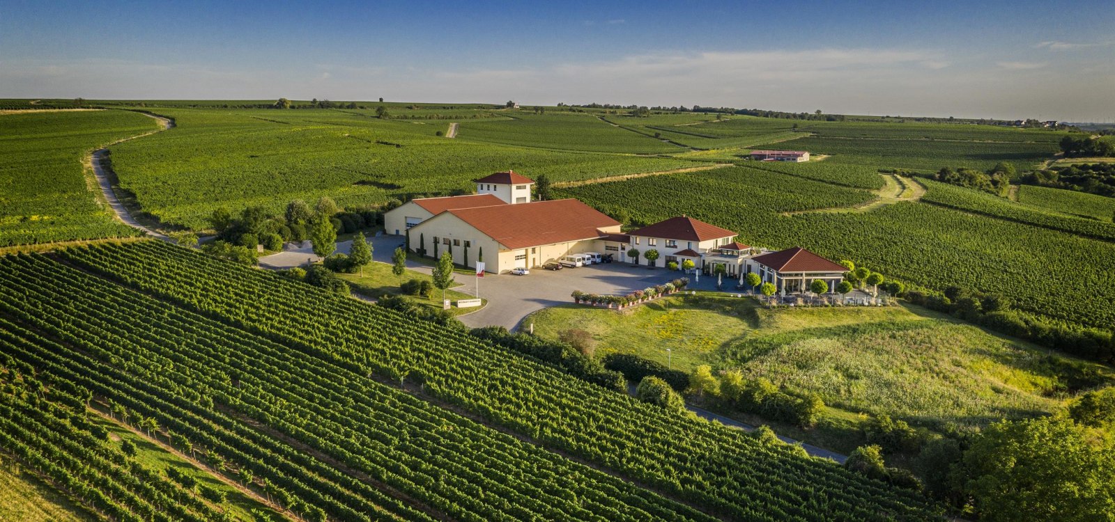 Weingut Raddeck Nierstein, © Weingut Raddeck Weingut Raddeck Nierstein, © Weingut Raddeck