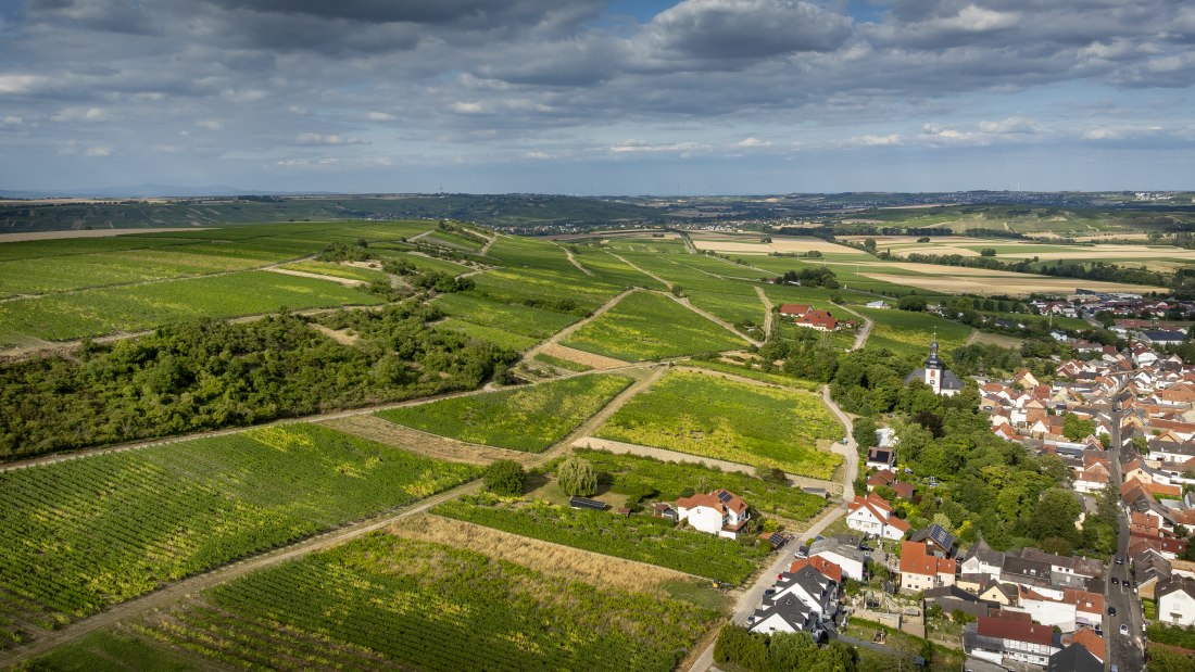 Partenheimer Sankt Georgen, © Torsten Silz Partenheimer Sankt Georgen, © Torsten Silz