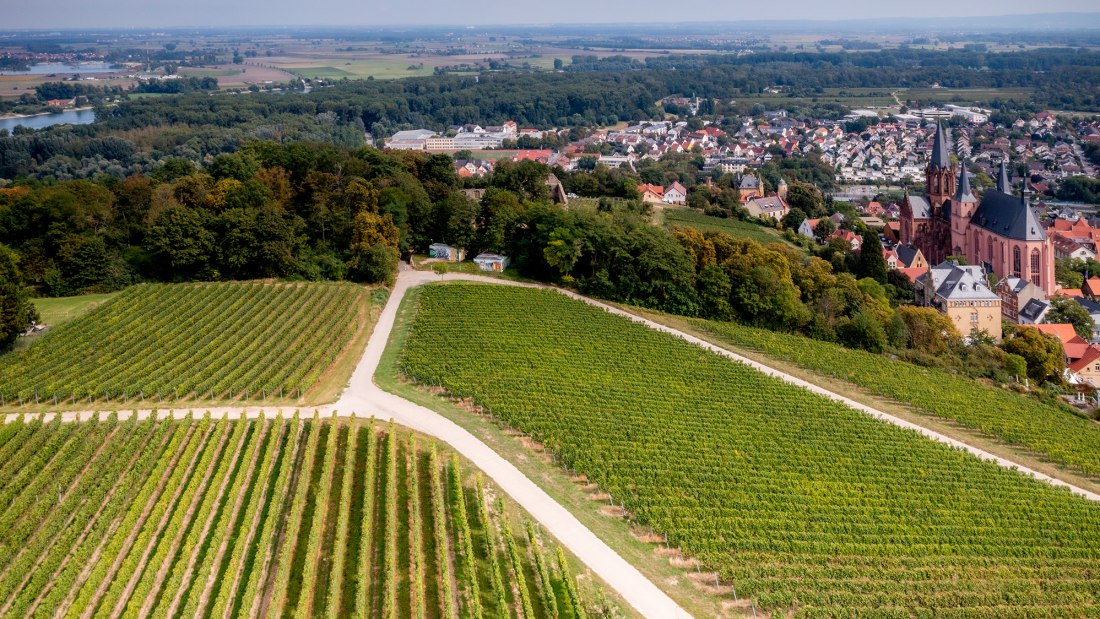 Oppenheimer Herrenberg Oppenheimer Herrenberg