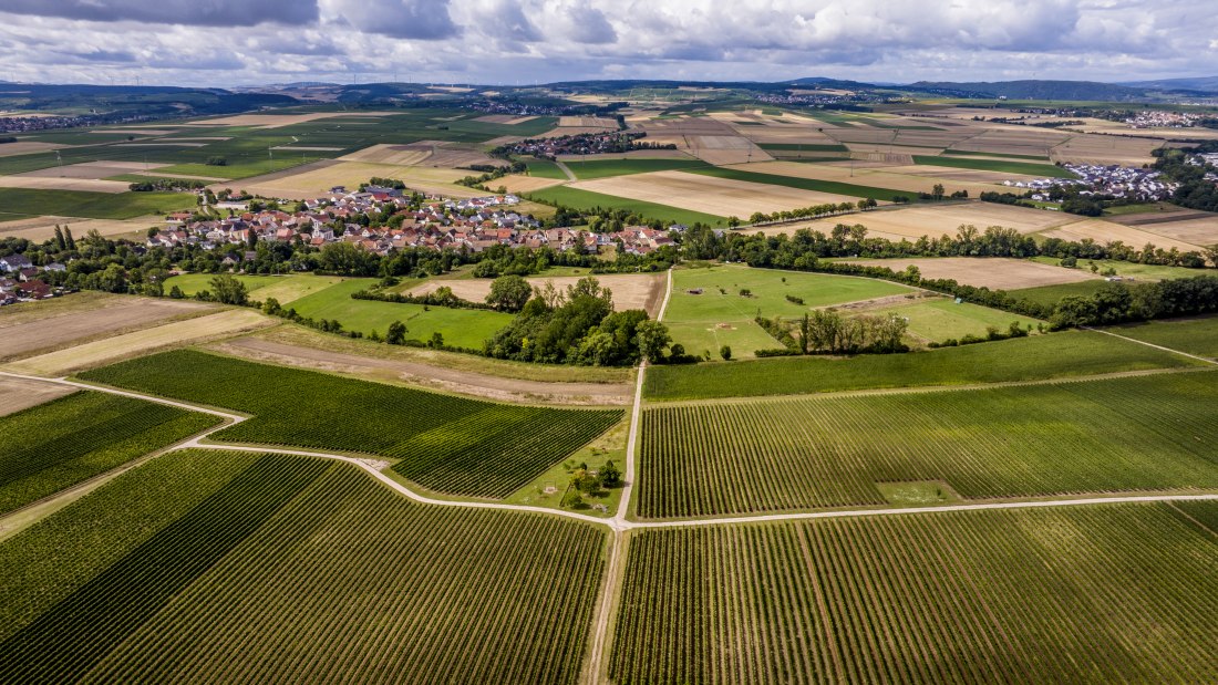 Badenheimer Galgenberg Badenheimer Galgenberg