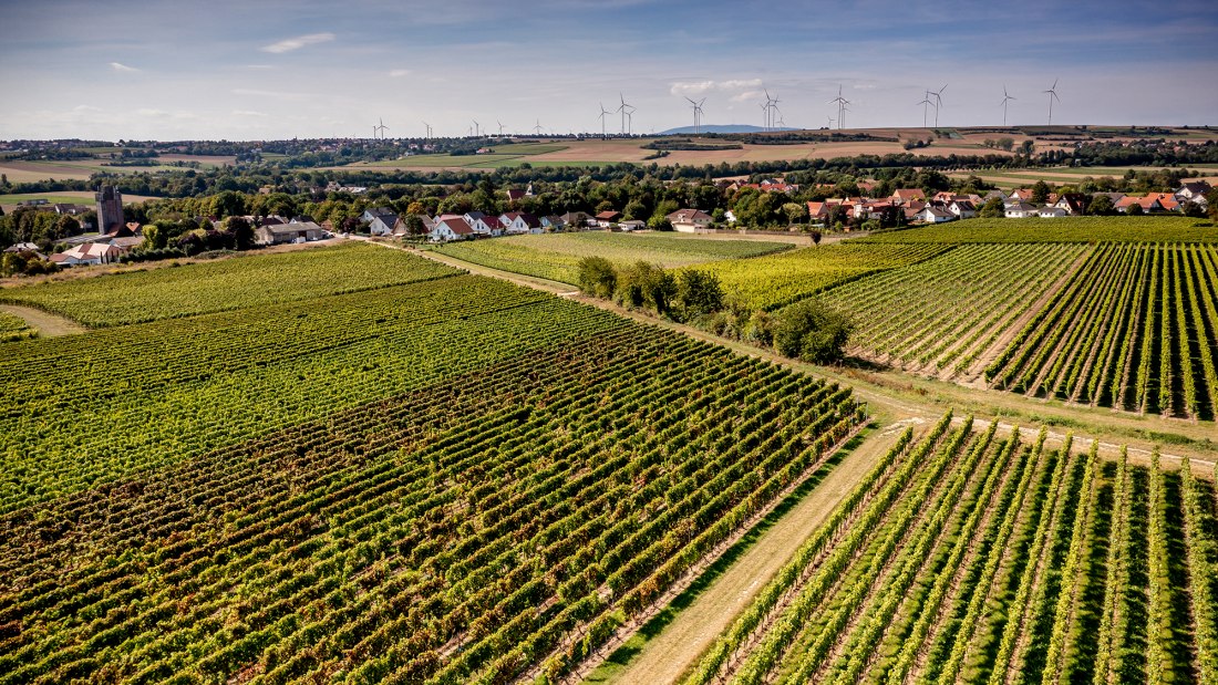Eppelsheimer Felsen Eppelsheimer Felsen