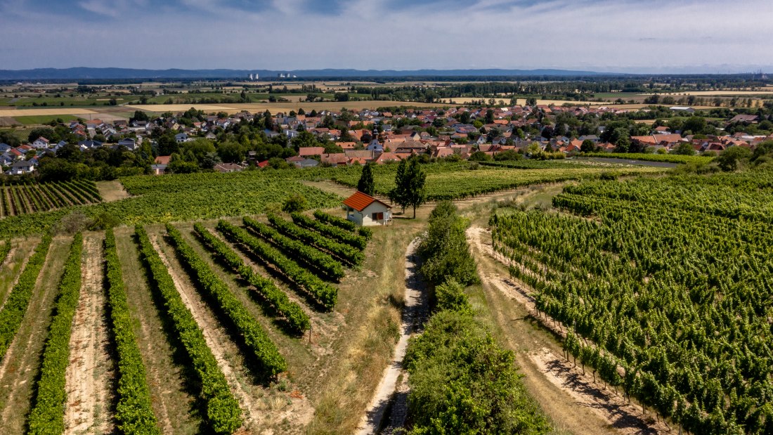 Mettenheimer Schlossberg Mettenheimer Schlossberg