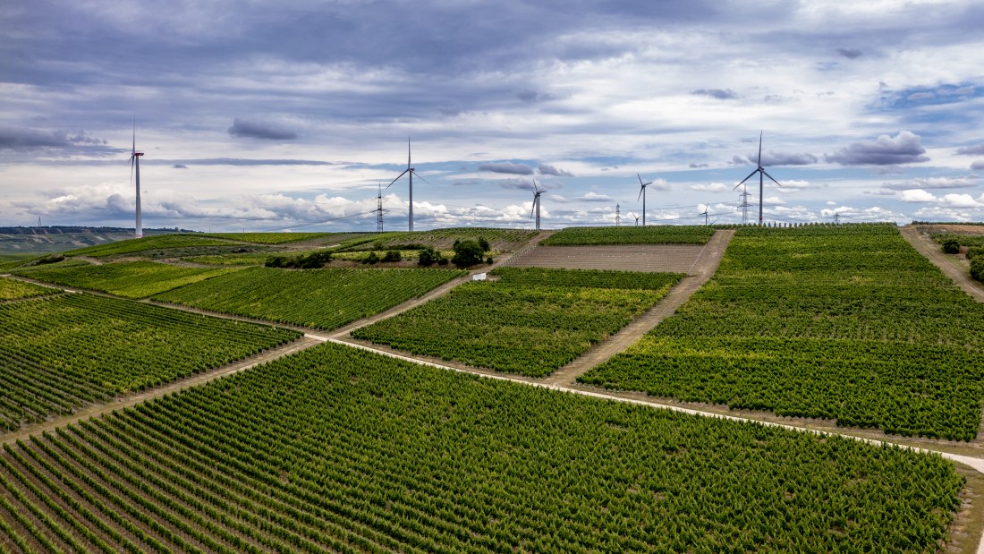 Gumbsheimer Schlosshölle Gumbsheimer Schlosshölle