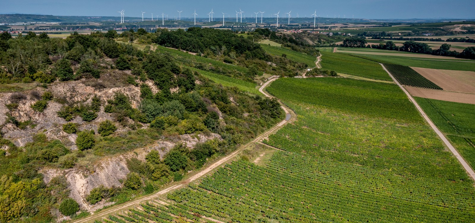 Siefersheimer Heerkretz Siefersheimer Heerkretz