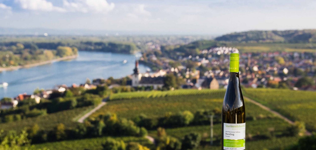 Weingut Sternenfelserhof_Blick-auf-den-roten-hang, © Weingut Sternenfelserhof Weingut Sternenfelserhof_Blick-auf-den-roten-hang, © Weingut Sternenfelserhof