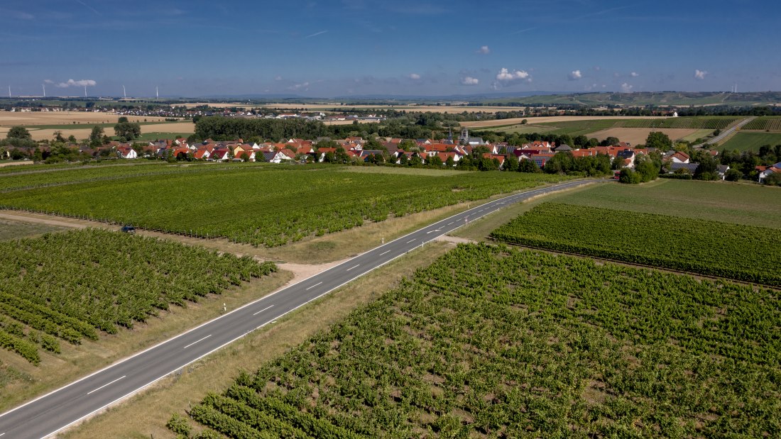 Friesenheimer Bergpfad Friesenheimer Bergpfad