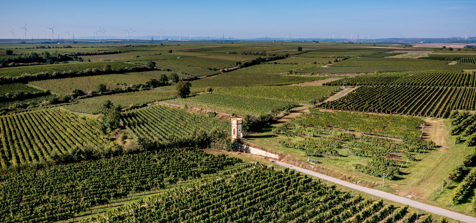 Osthofener Goldberg Osthofener Goldberg