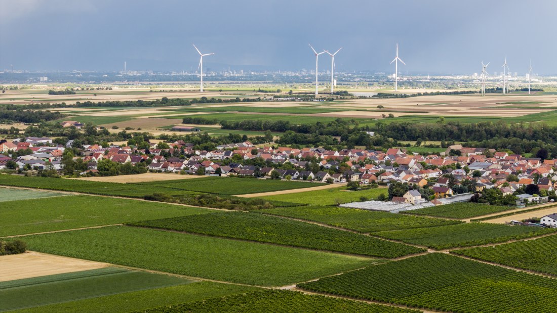 Heppenheimer Affenberg, © Torsten Silz Heppenheimer Affenberg, © Torsten Silz