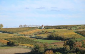 Blick auf den Pertelturm Blick auf den Pertelturm