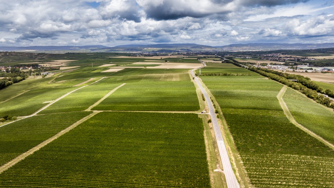 Badenheimer Galgenberg Badenheimer Galgenberg