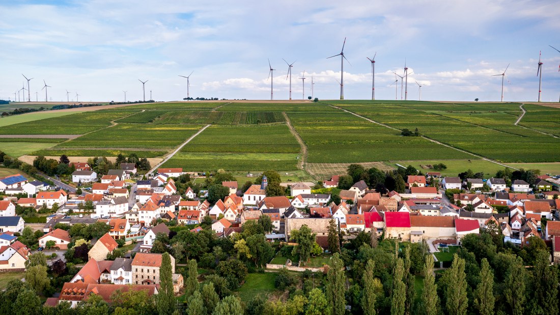 Dautenheimer Himmelacker Dautenheimer Himmelacker