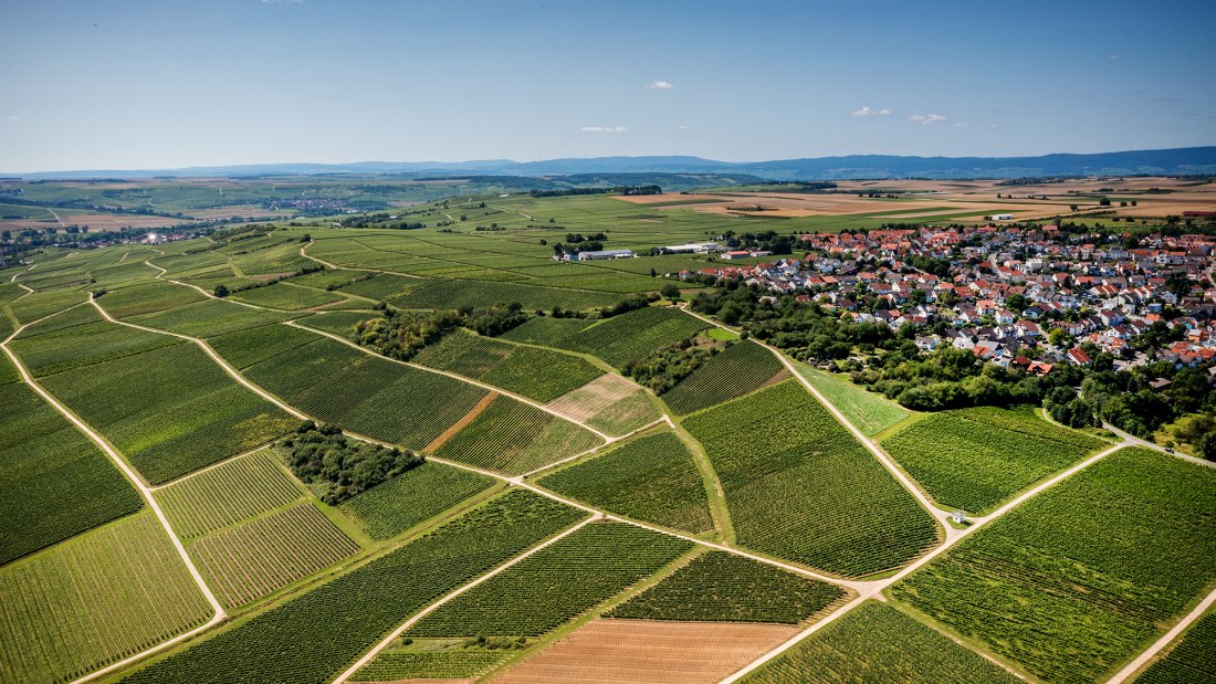 Essenheimer Teufelspfad Essenheimer Teufelspfad