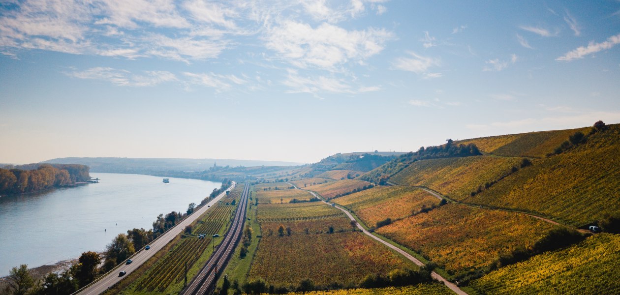 Weingut Seebrich_Roter Hang, © Weingut Seebrich Weingut Seebrich_Roter Hang, © Weingut Seebrich