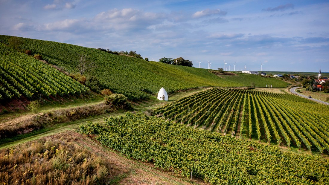 Uffhofener La Roche Uffhofener La Roche