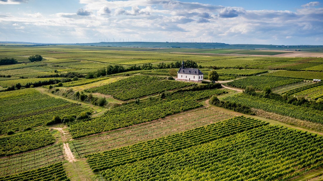 Abenheimer Klausenberg, © Torsten Silz Abenheimer Klausenberg, © Torsten Silz