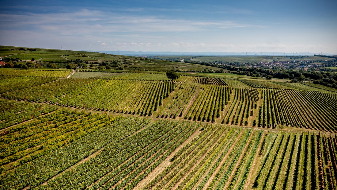 Eppelsheimer Felsen Eppelsheimer Felsen