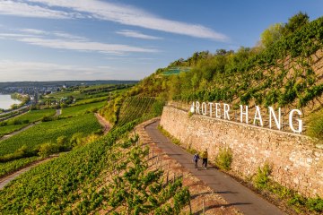 Roter Hang Blick Richtung Nierstein, © Dominik Ketz Roter Hang Blick Richtung Nierstein, © Dominik Ketz