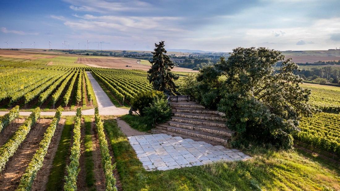 Dautenheimer Himmelacker Dautenheimer Himmelacker