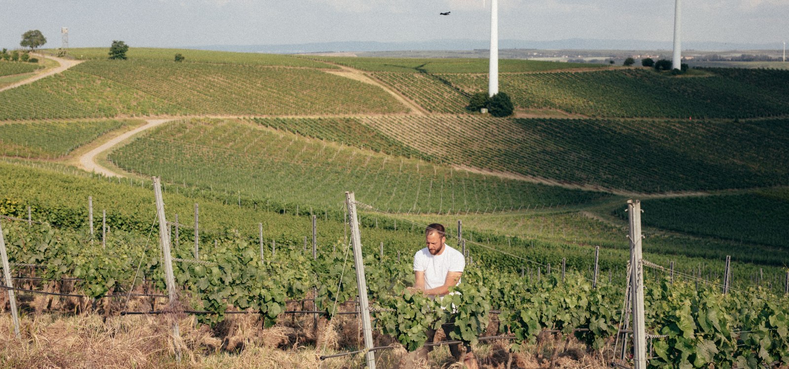 Werther-Windisch_web_035_4879, © Lucie Greiner Werther-Windisch_web_035_4879, © Lucie Greiner