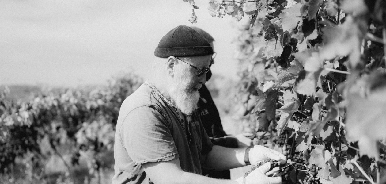 Ökologischer Weinbau Huster_Raimund Huster, © Ökologischer Weinbau Huster Ökologischer Weinbau Huster_Raimund Huster, © Ökologischer Weinbau Huster