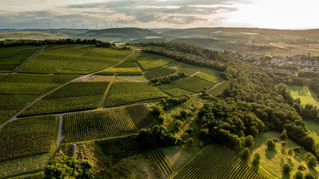 Siefersheimer Höllberg Siefersheimer Höllberg