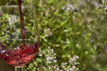 Glas mit Logo WDRS Glas mit Logo WDRS