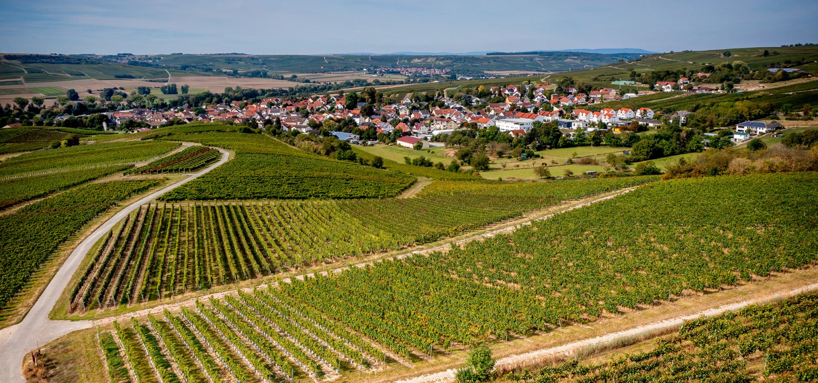 Elsheimer Blume Elsheimer Blume