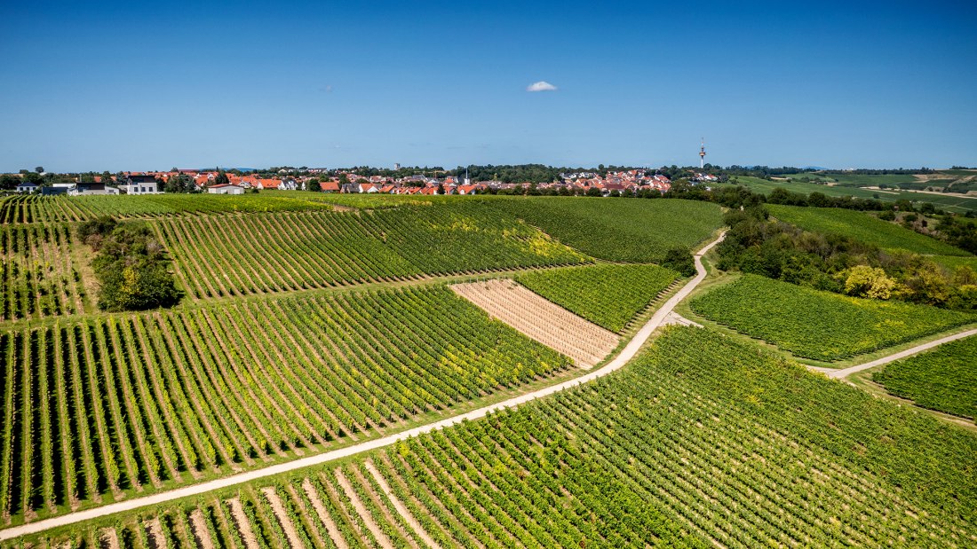 Essenheimer Teufelspfad Essenheimer Teufelspfad