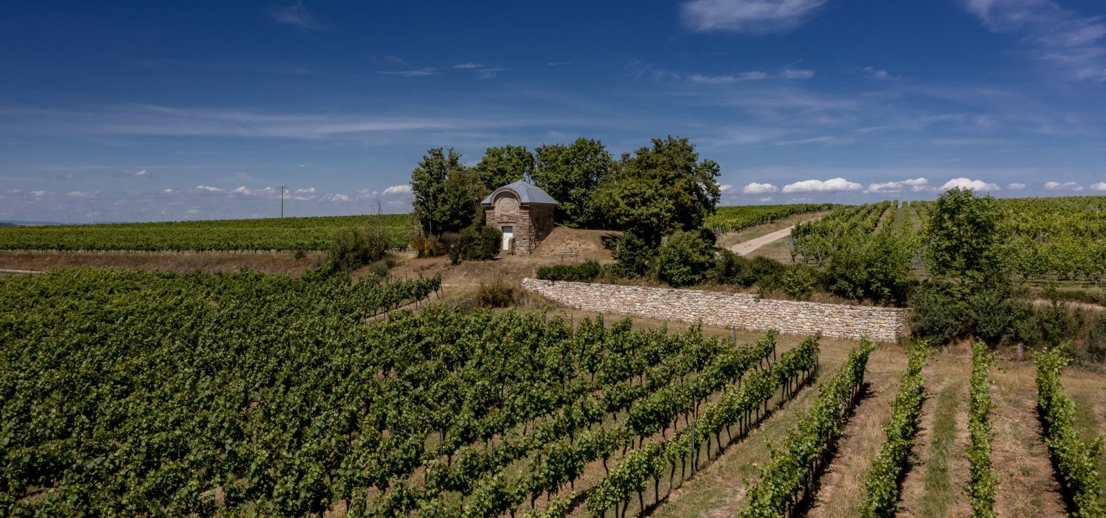 Dorn-Dürkheimer Hasensprung Dorn-Dürkheimer Hasensprung
