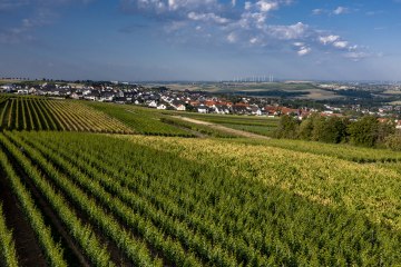 Nieder-Olmer Klosterberg Nieder-Olmer Klosterberg