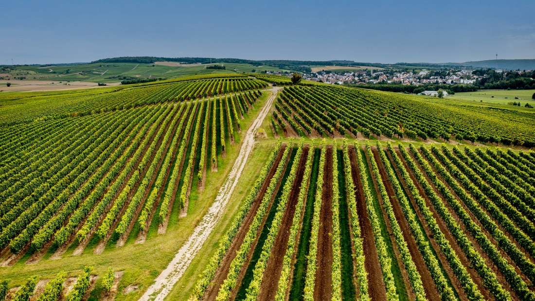 Volxheimer Liebfrau Volxheimer Liebfrau