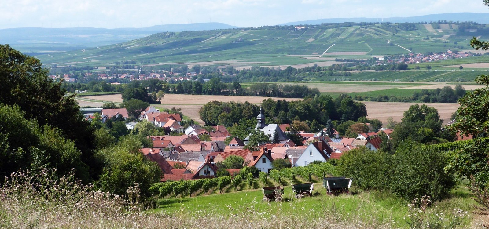 Wörrstadt-Rommersheim, © Bernhard Klavins Wörrstadt-Rommersheim, © Bernhard Klavins