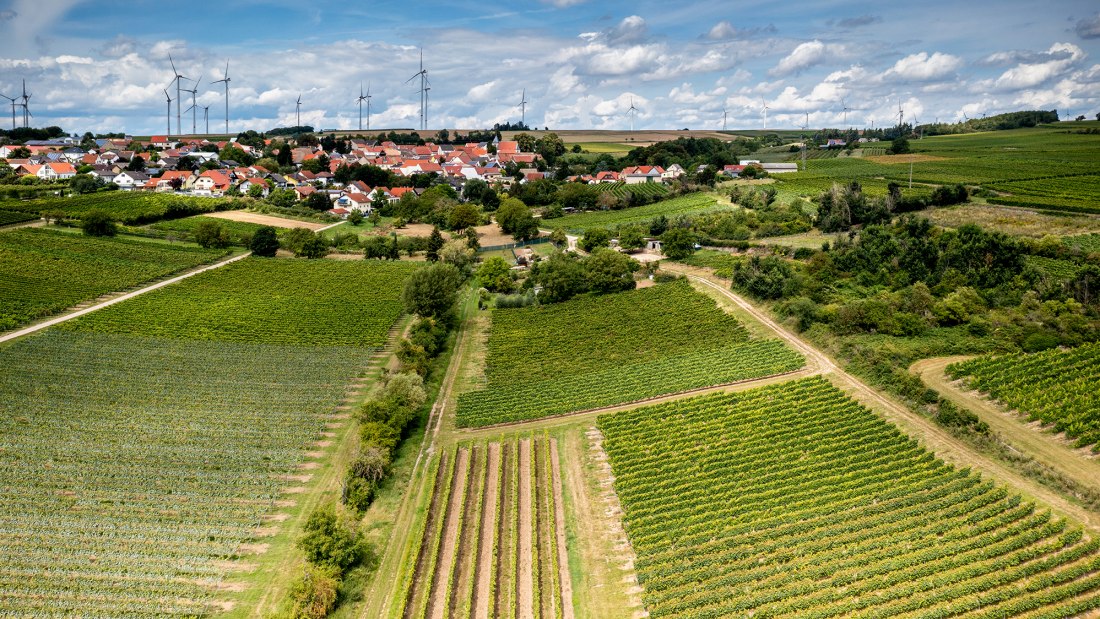 Hangen-Weisheimer Sommerwende Hangen-Weisheimer Sommerwende