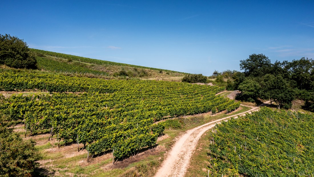 Siefersheimer Heerkretz Siefersheimer Heerkretz