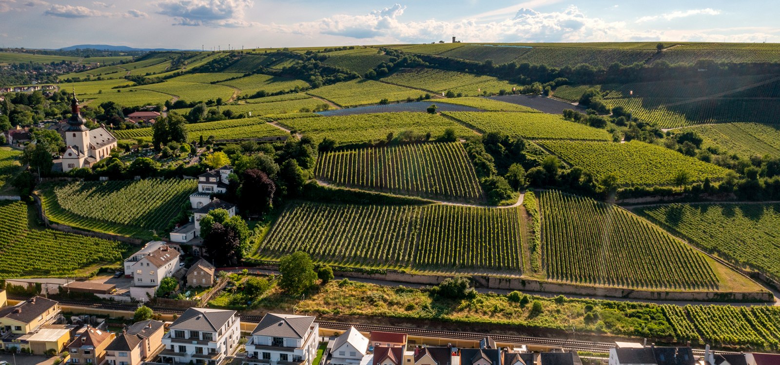 Niersteiner Zehnmorgen Niersteiner Zehnmorgen
