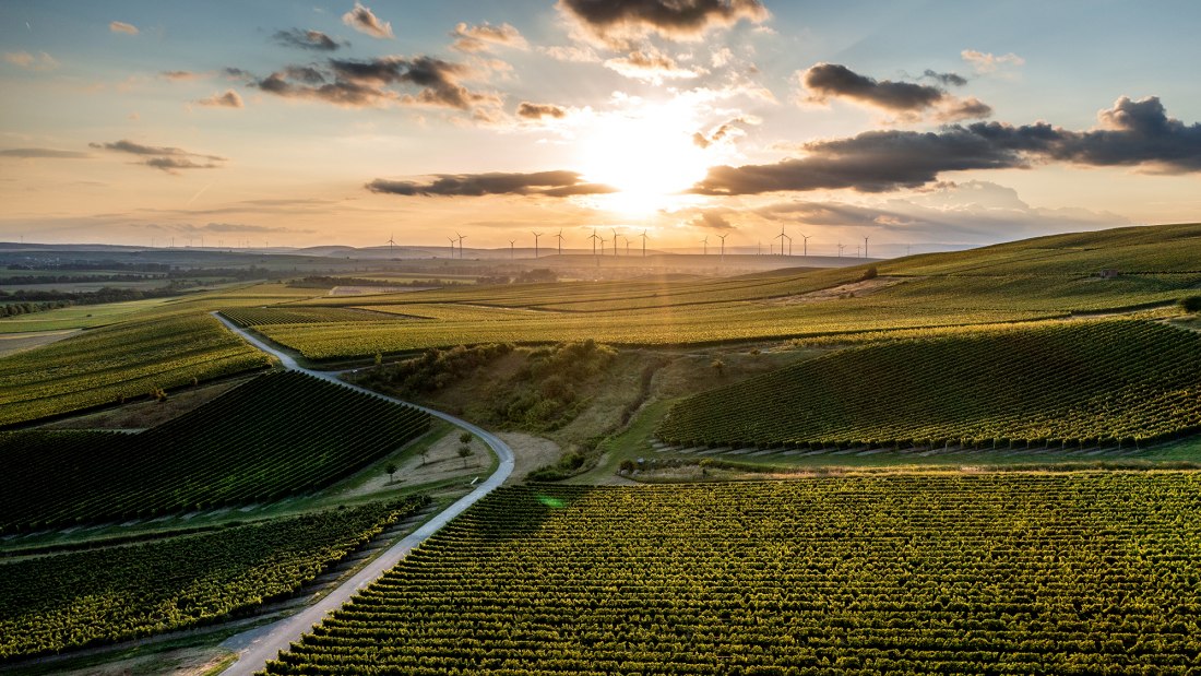Ensheimer Kachelberg Ensheimer Kachelberg