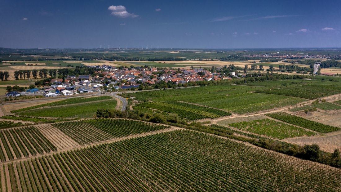 Mörstadter Nonnengarten Mörstadter Nonnengarten