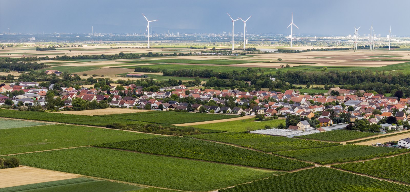 Heppenheimer Affenberg, © Torsten Silz Heppenheimer Affenberg, © Torsten Silz