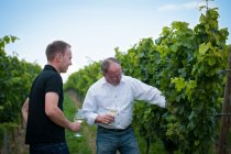 Weingut_Fritzsch_Sprendlingen_k Weingut_Fritzsch_Sprendlingen_k