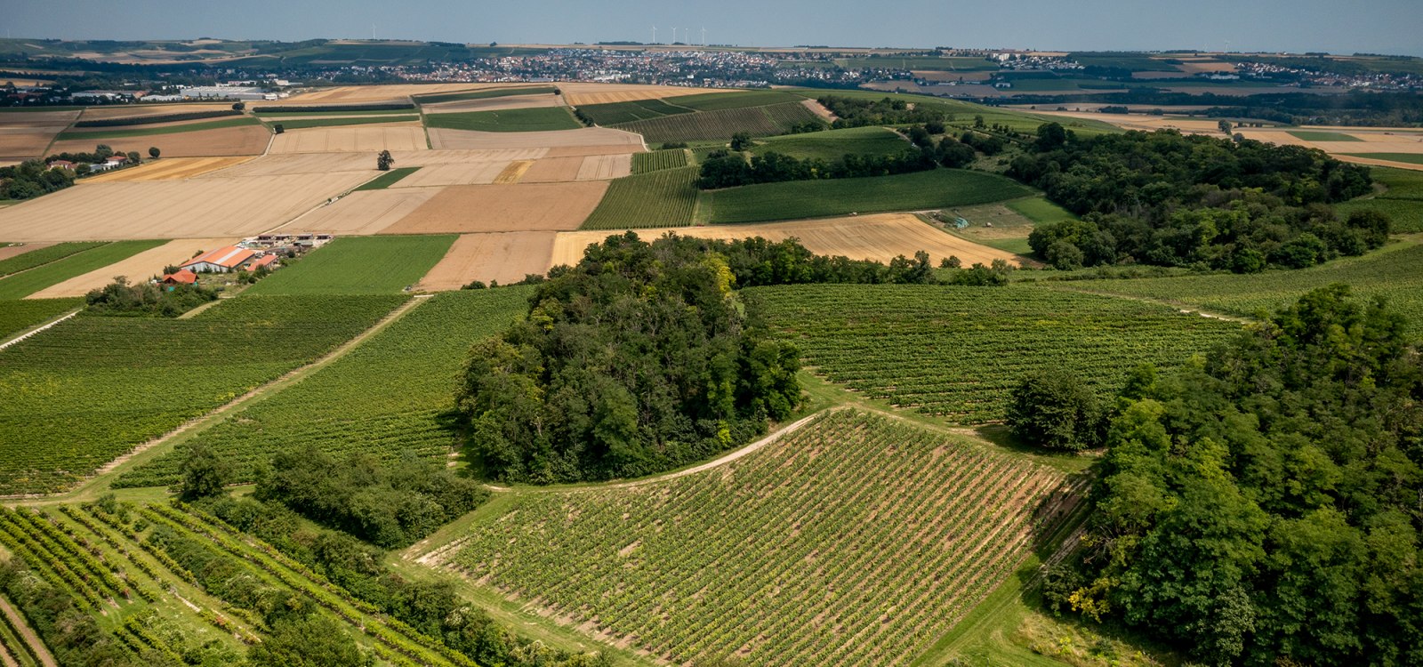 Stadecker Lenchen Stadecker Lenchen